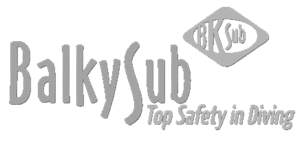 OhWow Studio Logos_Balkysub