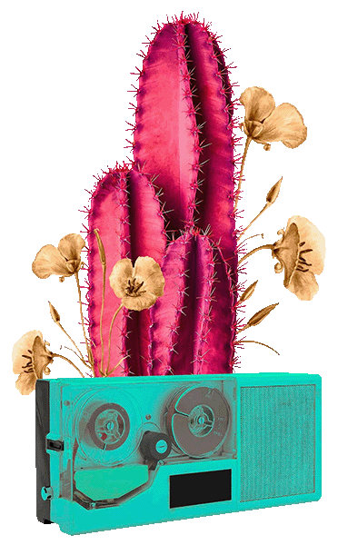 OhWow Studio - Quienes Somos